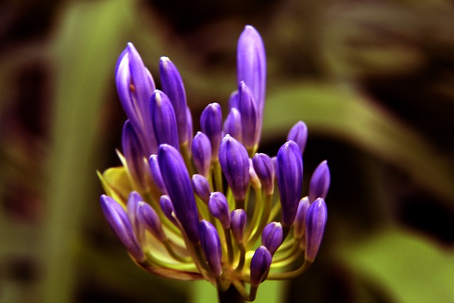 为的尊重和 为的尊重和