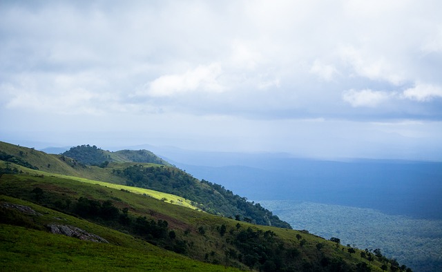 兹一人的发 兹一人的发