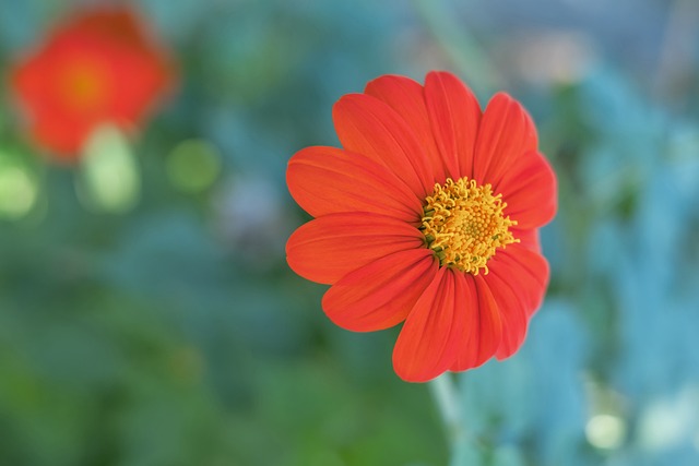 是球队的灵 是球队的灵